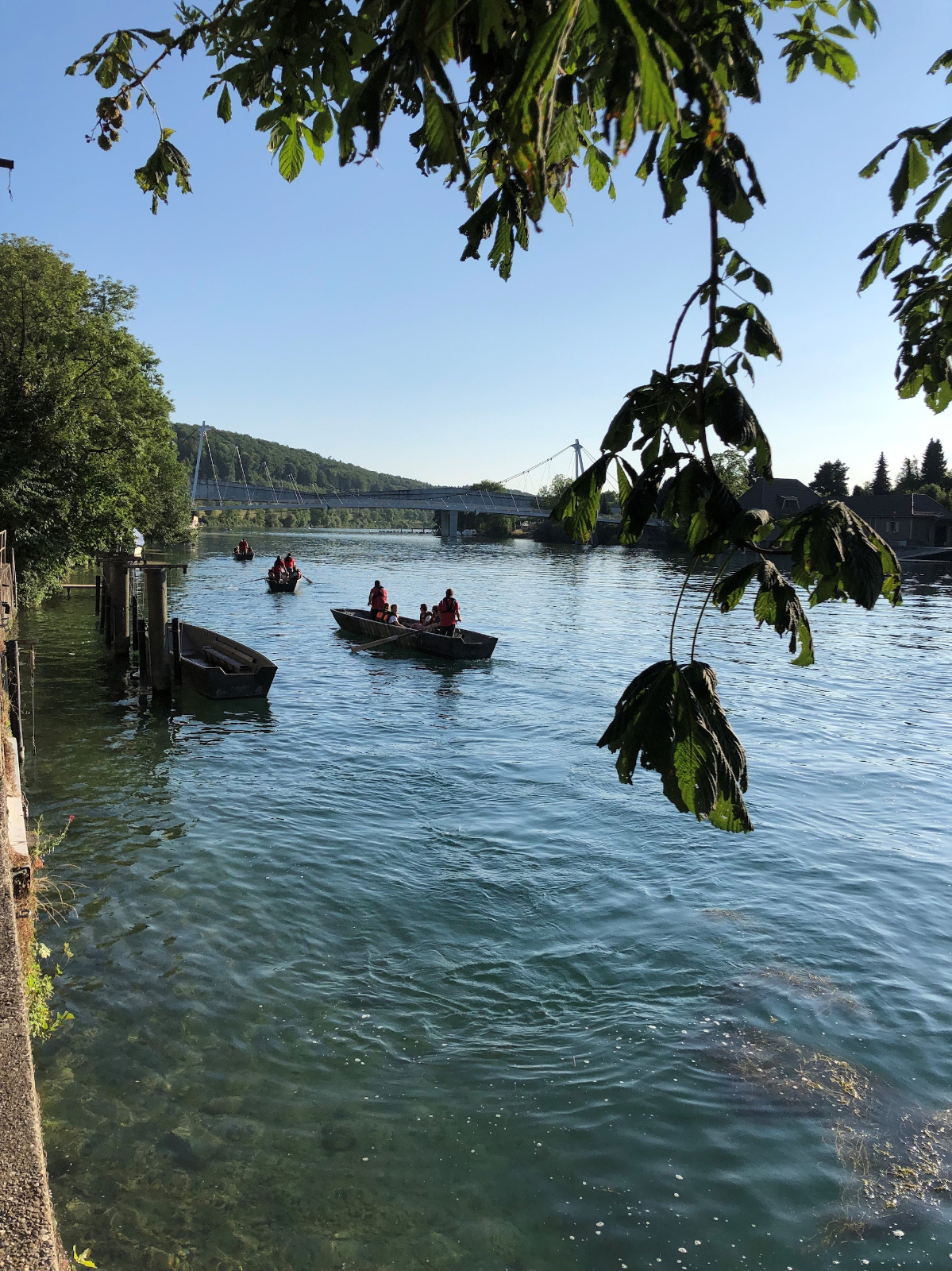Bild (16)